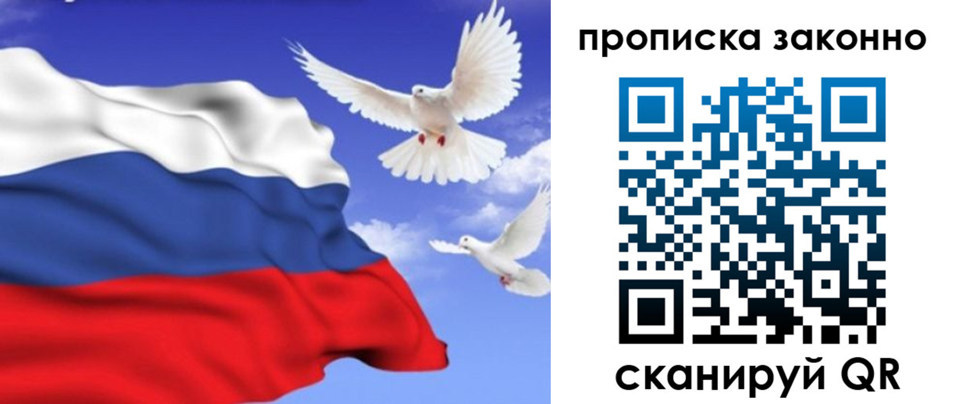 прописка в Тимашёвске